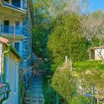 Portovecchio Extra