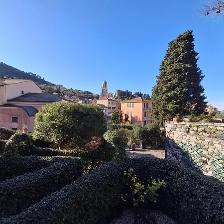 Portovecchio Extra * Λεβάντο