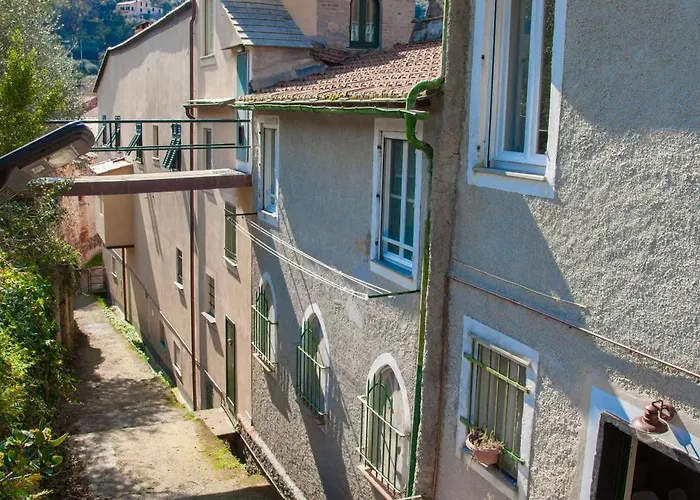 Portovecchio Extra Levanto